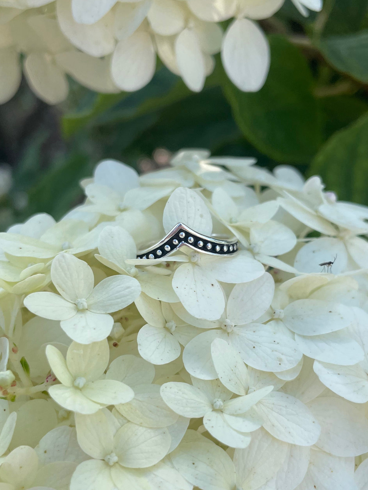 Dot Bead Sterling Silver V-Ring